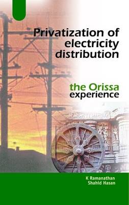 Privatization of Electricity Distribution