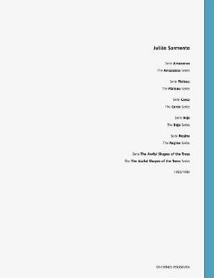 Juliao Sarmento: 1992-1994 v. 3