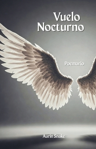 Vuelo Nocturno