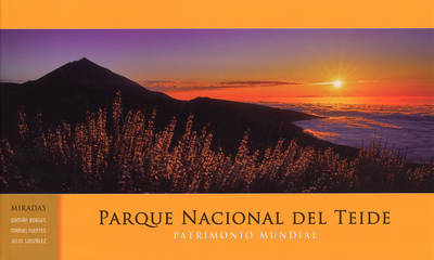 Parque Nacional del Teide