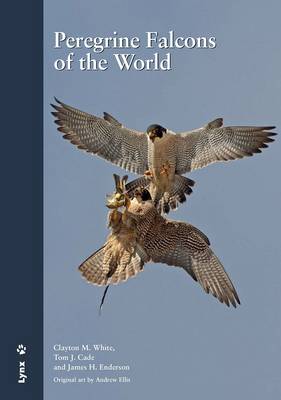 Peregrine Falcons of the World