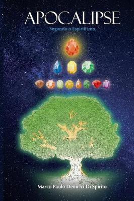 Apocalipse Segundo O Espiritismo