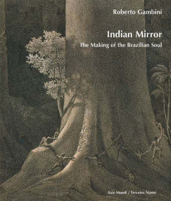 Indian Mirror