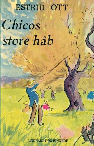 Chicos store hab