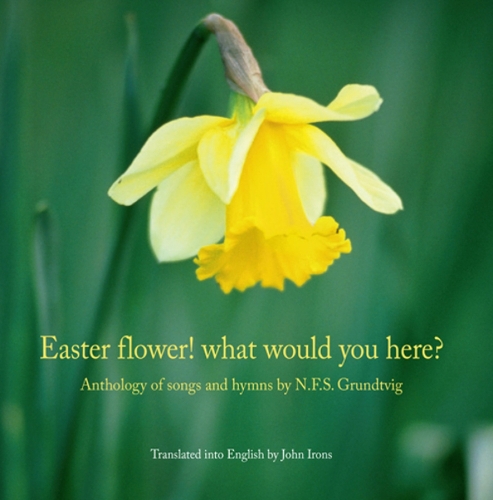 Easter Flower! What Would You Here?
