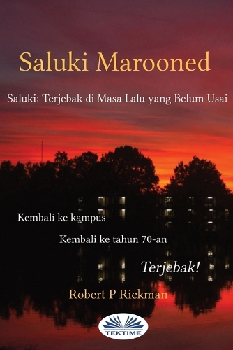 Saluki Marooned - Saluki