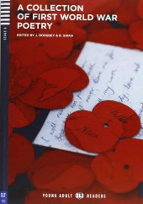 Young Adult ELI Readers - English