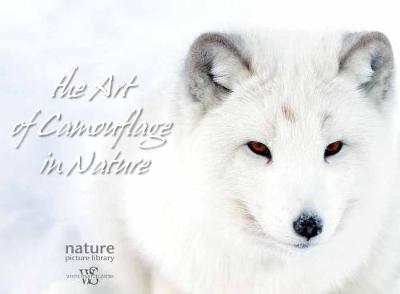 Hidden in Nature: Art of Animal Camouflage