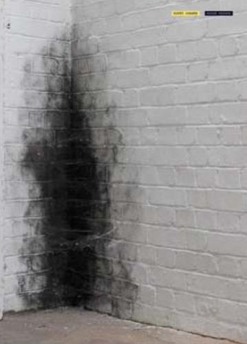 Anish Kapoor by Gianni Mercurio