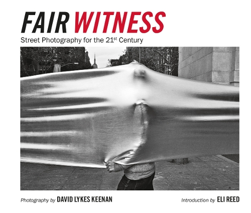 Fair Witness