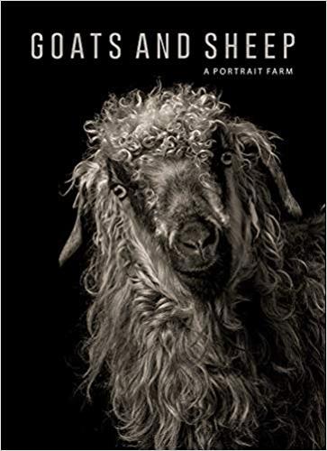 Goats and Sheep. A Portrait Farm