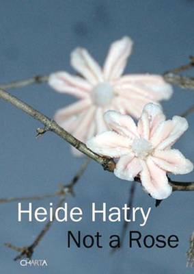 Heidi Hatry: Not a Rose