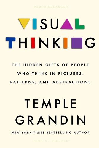 Thinking Visually