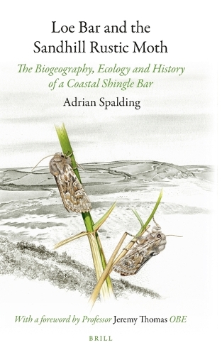 Loe Bar and the Sandhill Rustic Moth