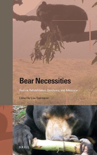 Bear Necessities