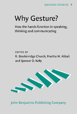 Why Gesture?