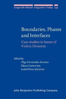 Boundaries, Phases and Interfaces