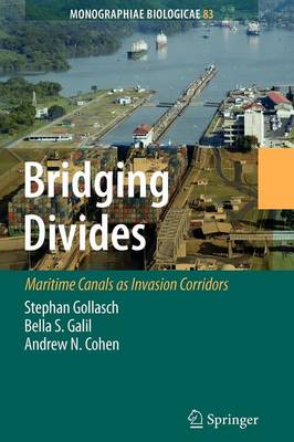 Bridging Divides