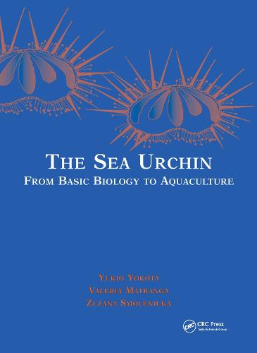 The Sea Urchin