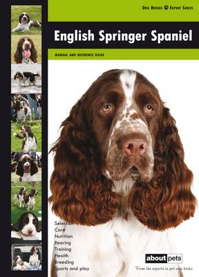 English Springer Spaniel