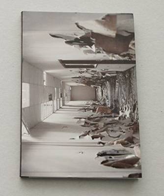 Els Vanden Meersch. Implants