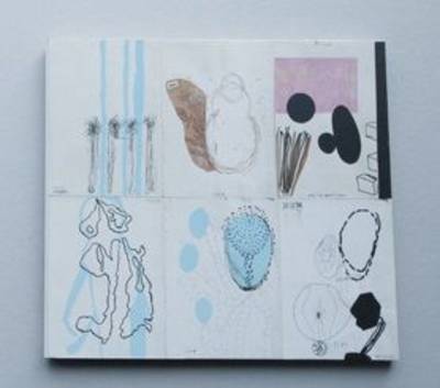 Werner Mannaers: Cahier de Brouillons
