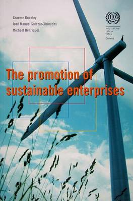 The promotion of sustainable enterprises
