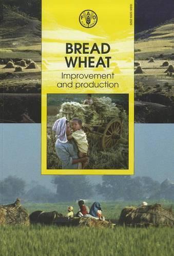 Bread wheat