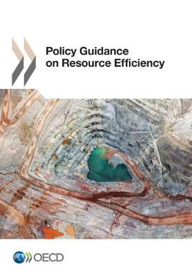 Policy Guidance on Resource Efficiency