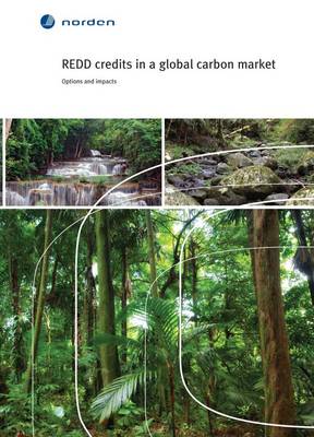 Redd Credits in a Global Carbon Market