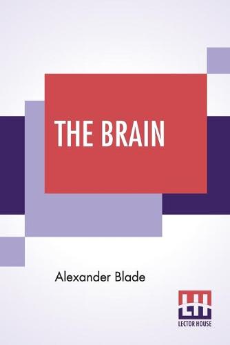 The Brain