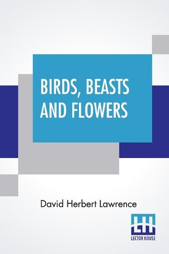 Birds, Beasts And Flowers