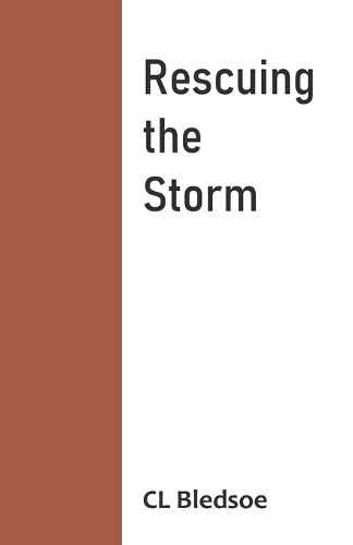 Rescuing the Storm