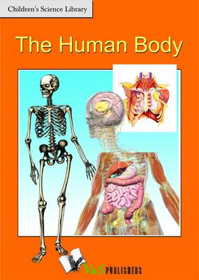 Human Body