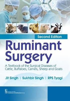 Ruminant Surgery