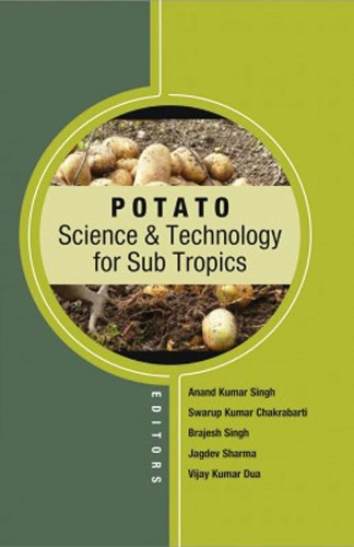 Potato