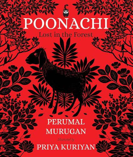 Poonachi