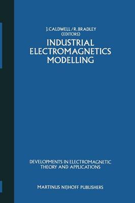 Industrial Electromagnetics Modelling