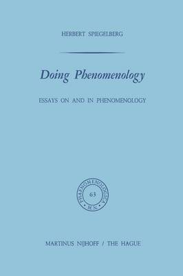 Doing Phenomenology