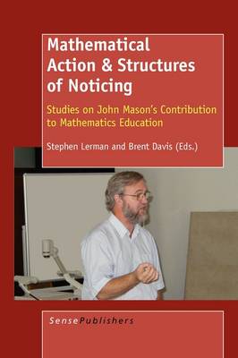 Mathematical Action & Structures of Noticing