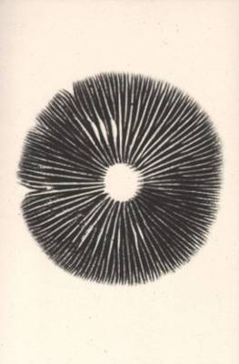 Annie Ratti - the Mushroom Project