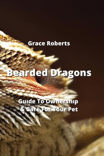 Bearded Dragons