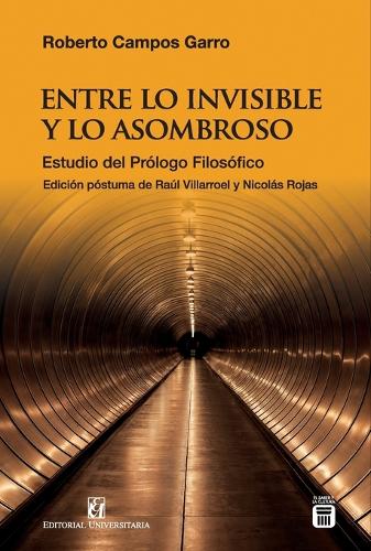 Entre lo invisible y lo asombroso