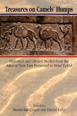 Treasures on Camels' Humps