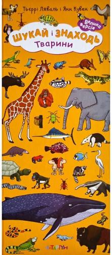 Look & Find