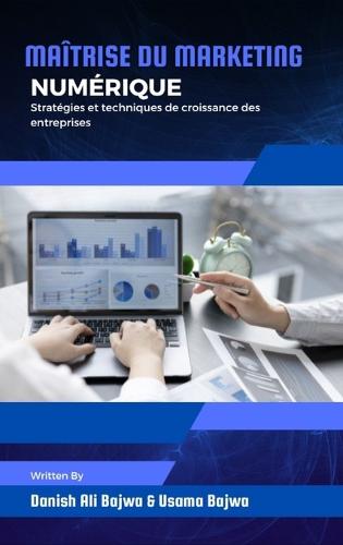 Maîtrise du marketing numérique
