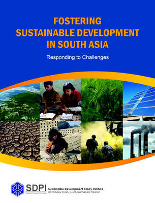 Fostering Sustainable Development in South Asia