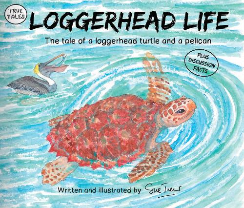 Loggerhead Life