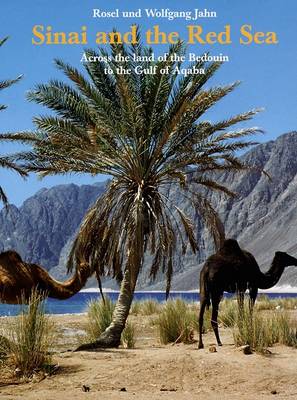 Sinai & the Red Sea