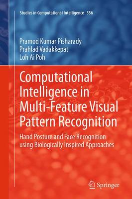 Computational Intelligence in Multi-Feature Visual Pattern Recognition